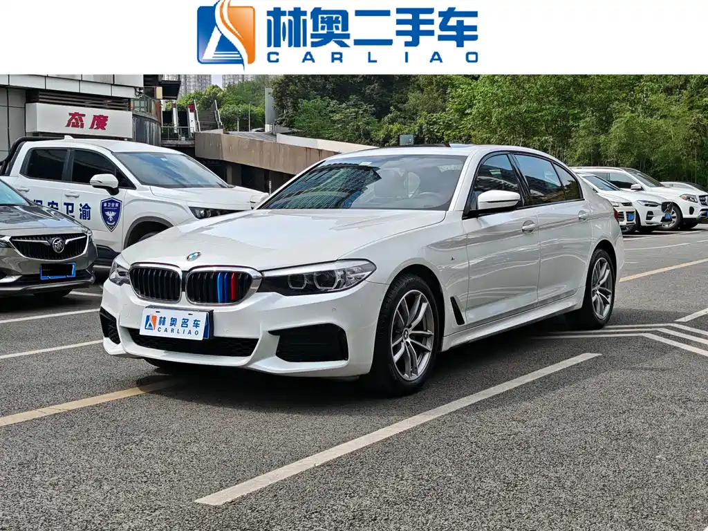 BMW 5 Series 2019