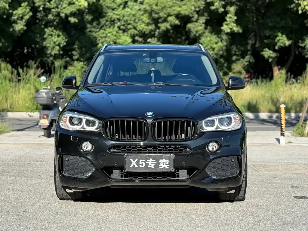 BMW X5 (Import) — миниатюра 2