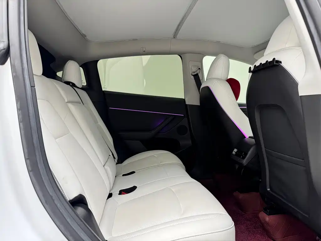Tesla Model Y — миниатюра 10