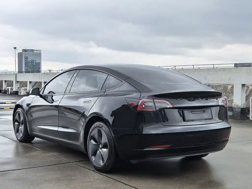 Tesla Model 3 — миниатюра 4