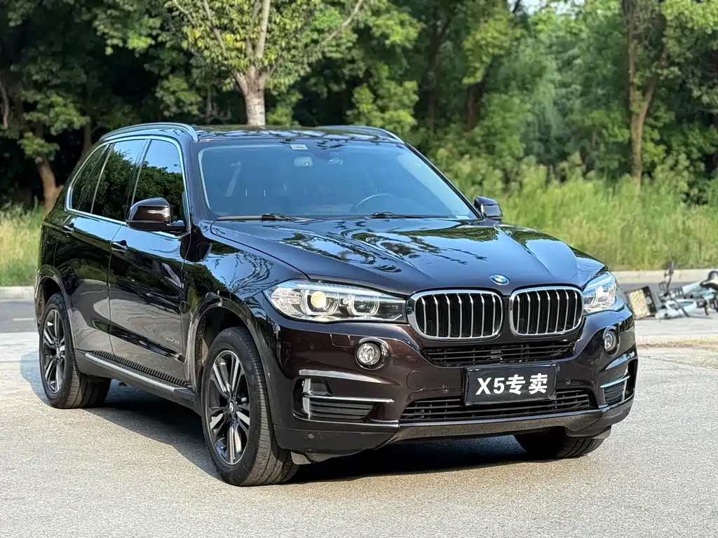 BMW X5 (Import) — миниатюра 3