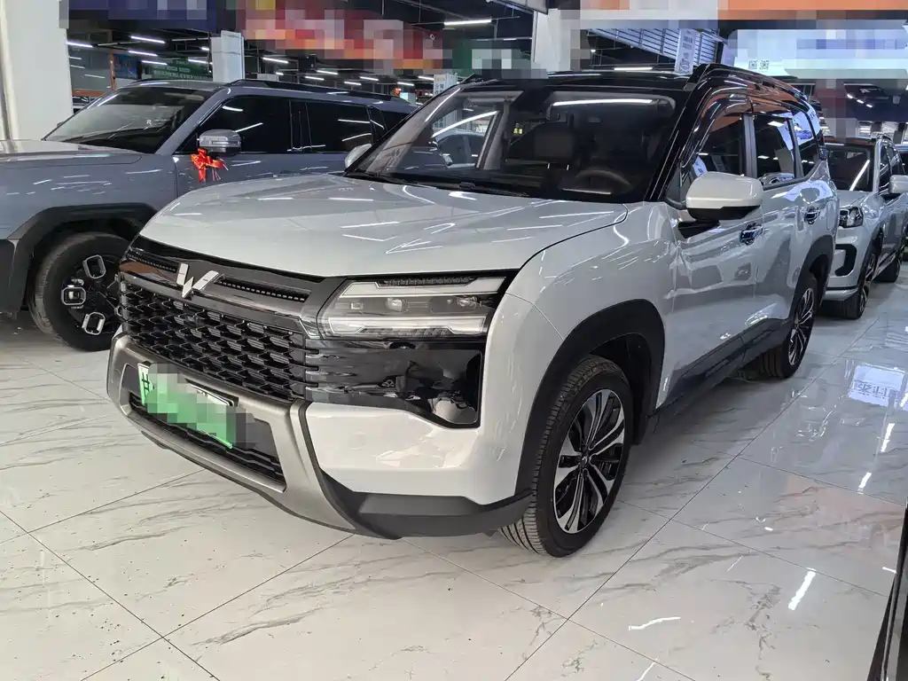 Wuling 星光560新能源