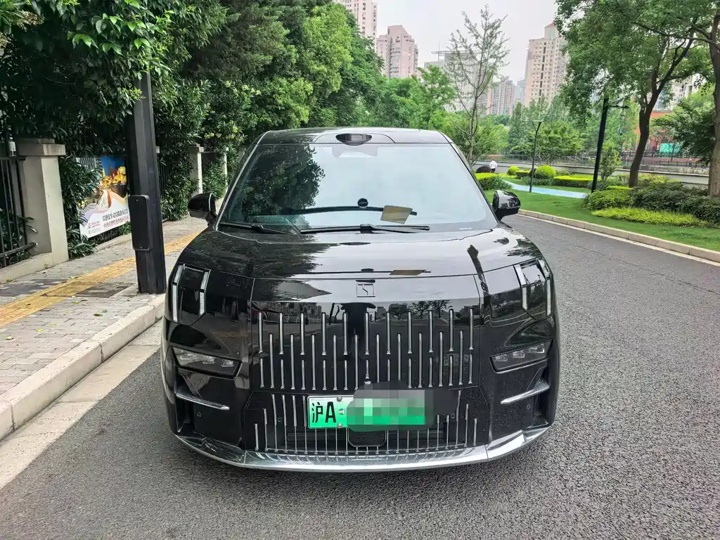 Zeekr 009 2024 мест Executive 108kWh