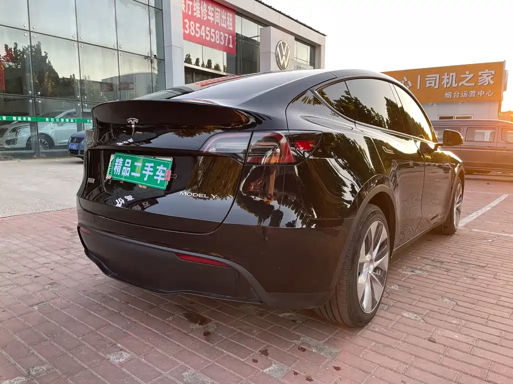 Tesla Model Y — миниатюра 4