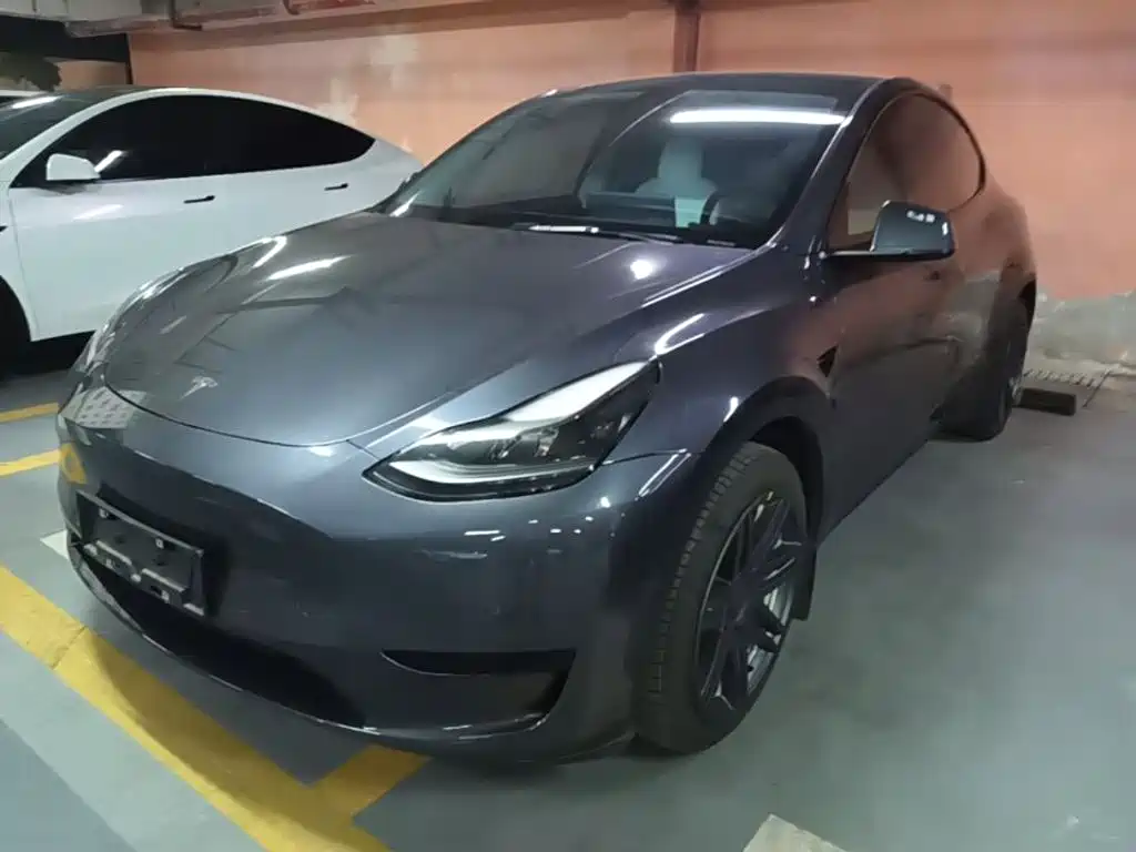Tesla Model Y — миниатюра 2