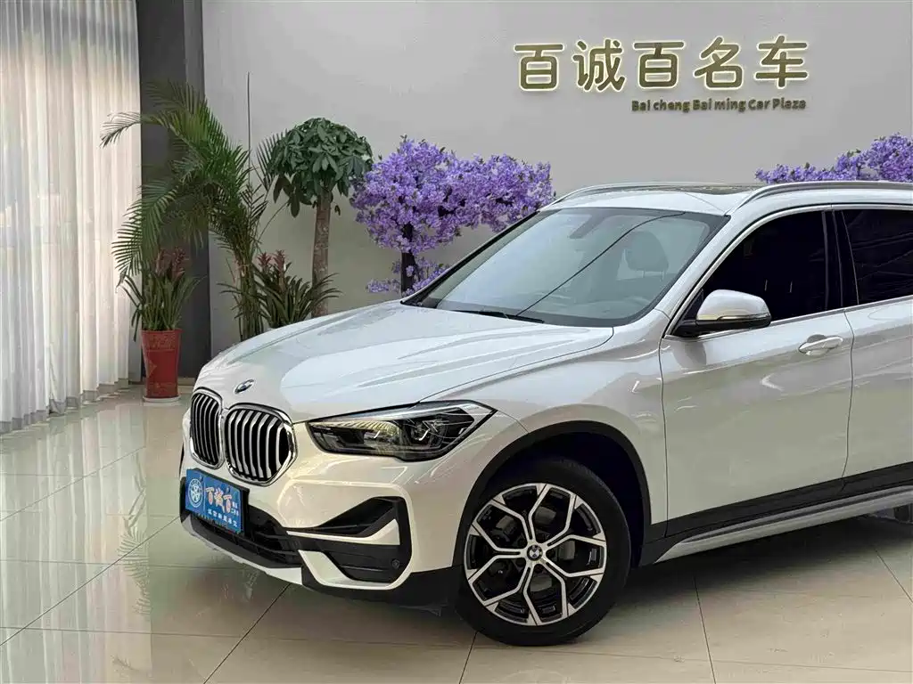 BMW X1 — миниатюра 2