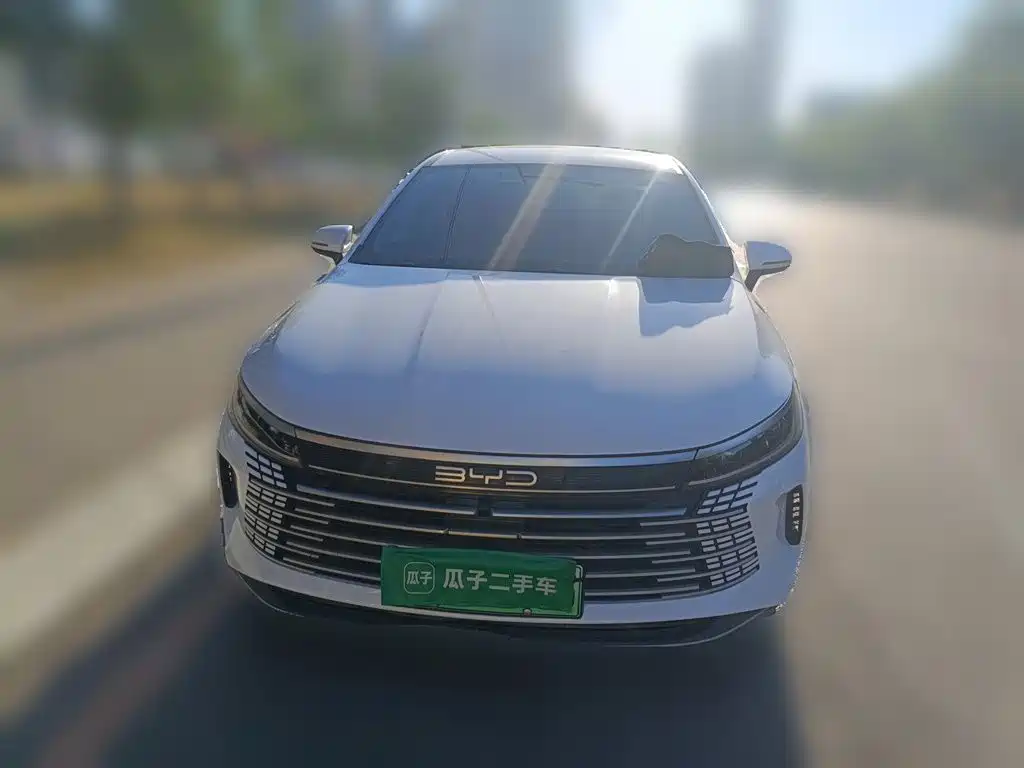 BYD Destroyer 05 — миниатюра 2