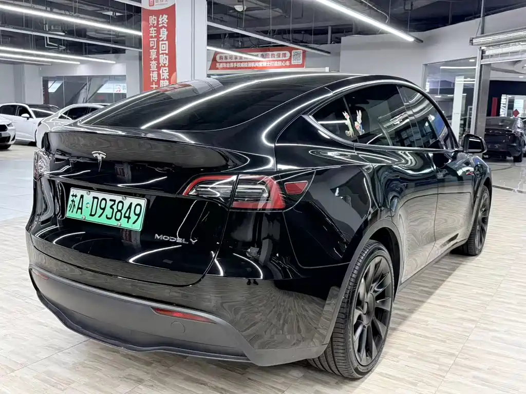 Tesla Model Y — миниатюра 4