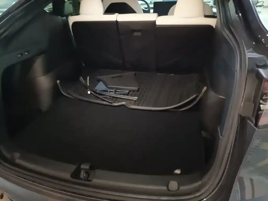Tesla Model Y — миниатюра 19