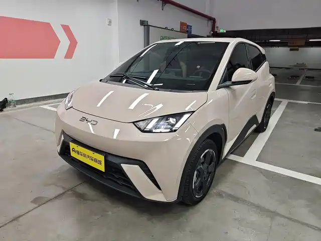 2024 BYD Seagull