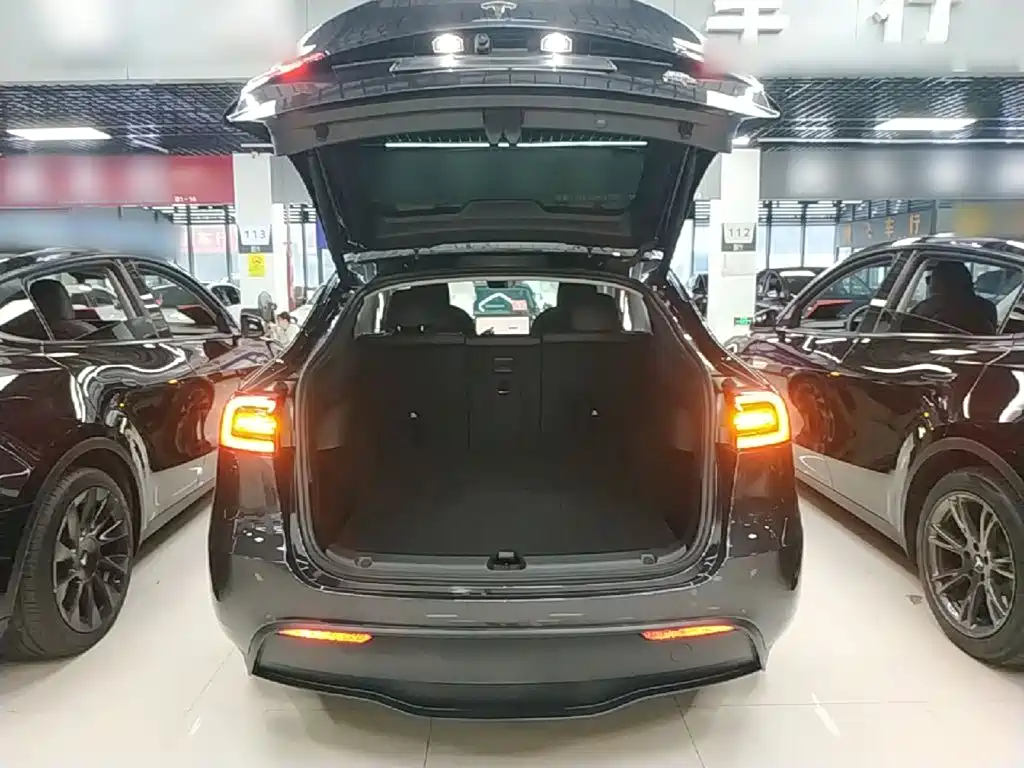 Tesla Model Y — миниатюра 19