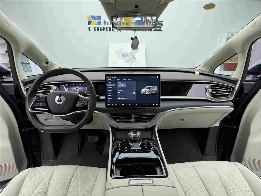 Denza Denza D9 — миниатюра 11