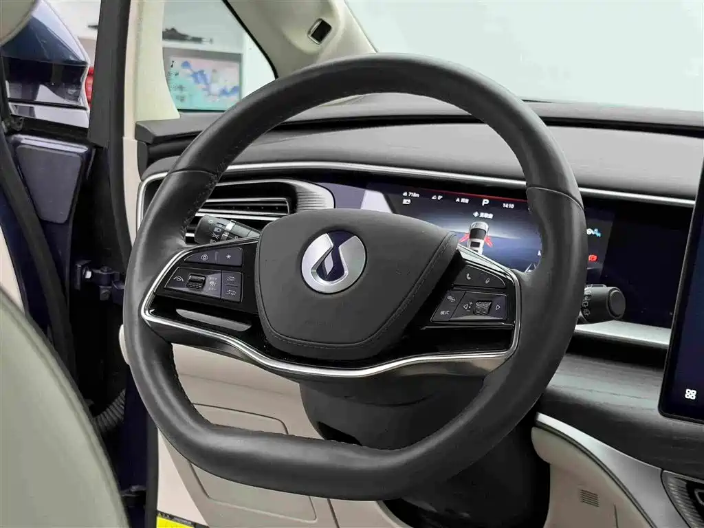 Denza Denza D9 — миниатюра 15