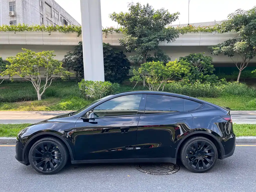 Tesla Model Y — миниатюра 4