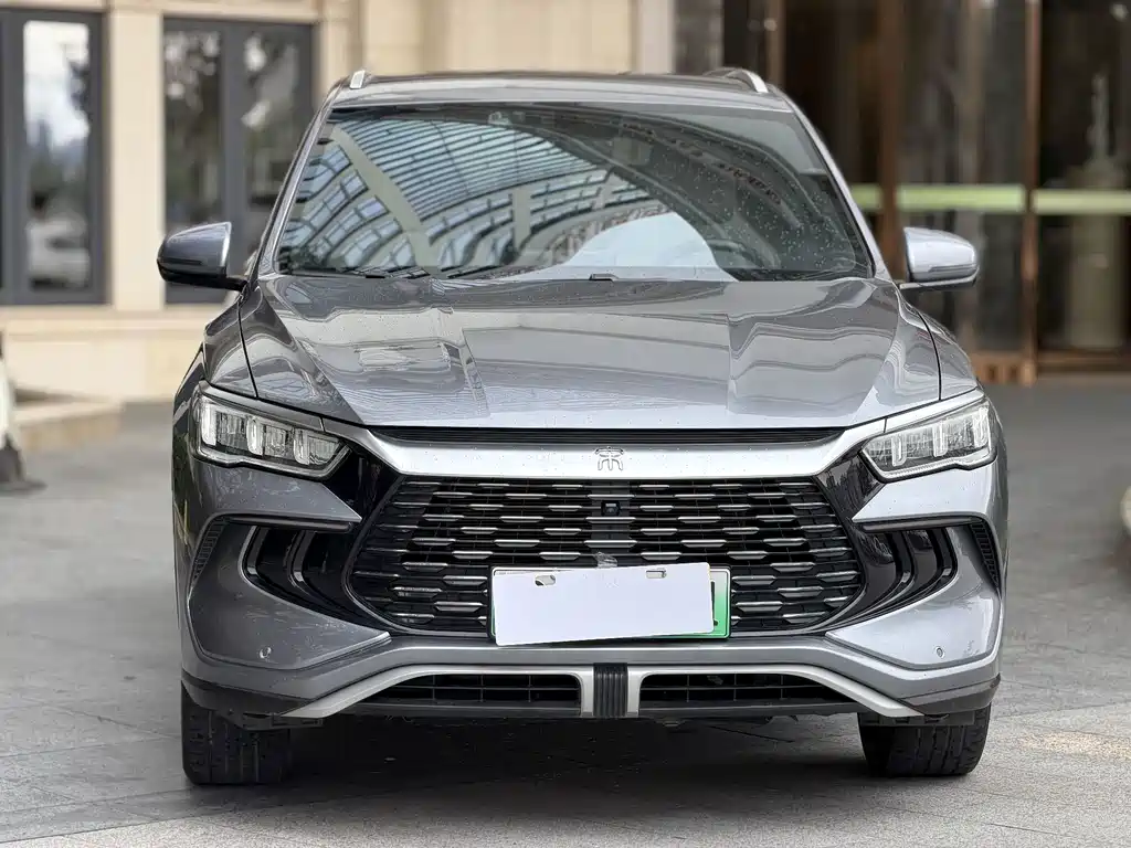 BYD Pro New Energy — миниатюра 2