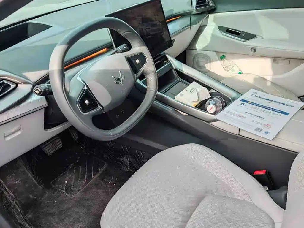 ARCFOX EXTREME FOX POLAR FOX ALPHA S5