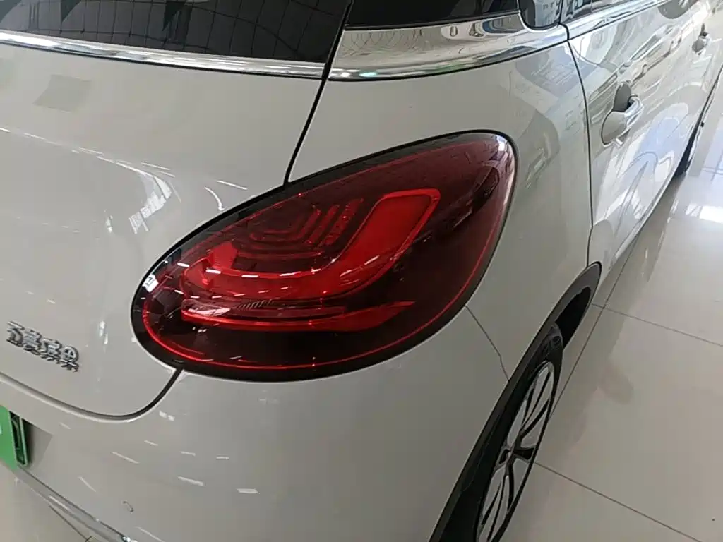 Wuling Binguo 2024 333km Enjoy