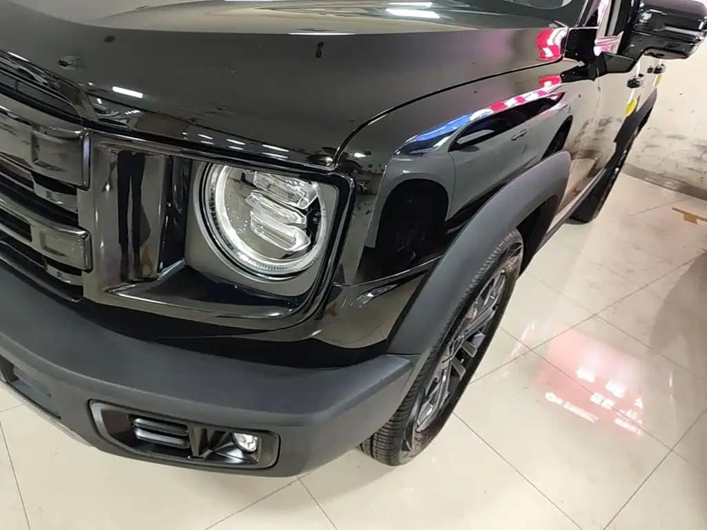 Haval Big Dog — миниатюра 24