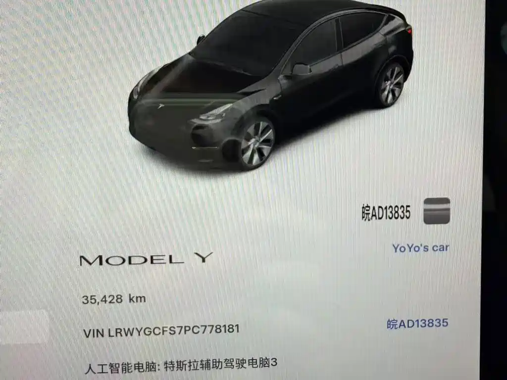 Tesla Model Y — миниатюра 14