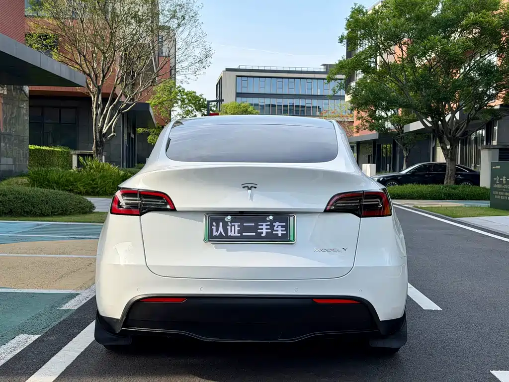 Tesla Model Y — миниатюра 7