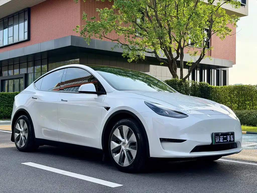 Tesla Model Y — миниатюра 3