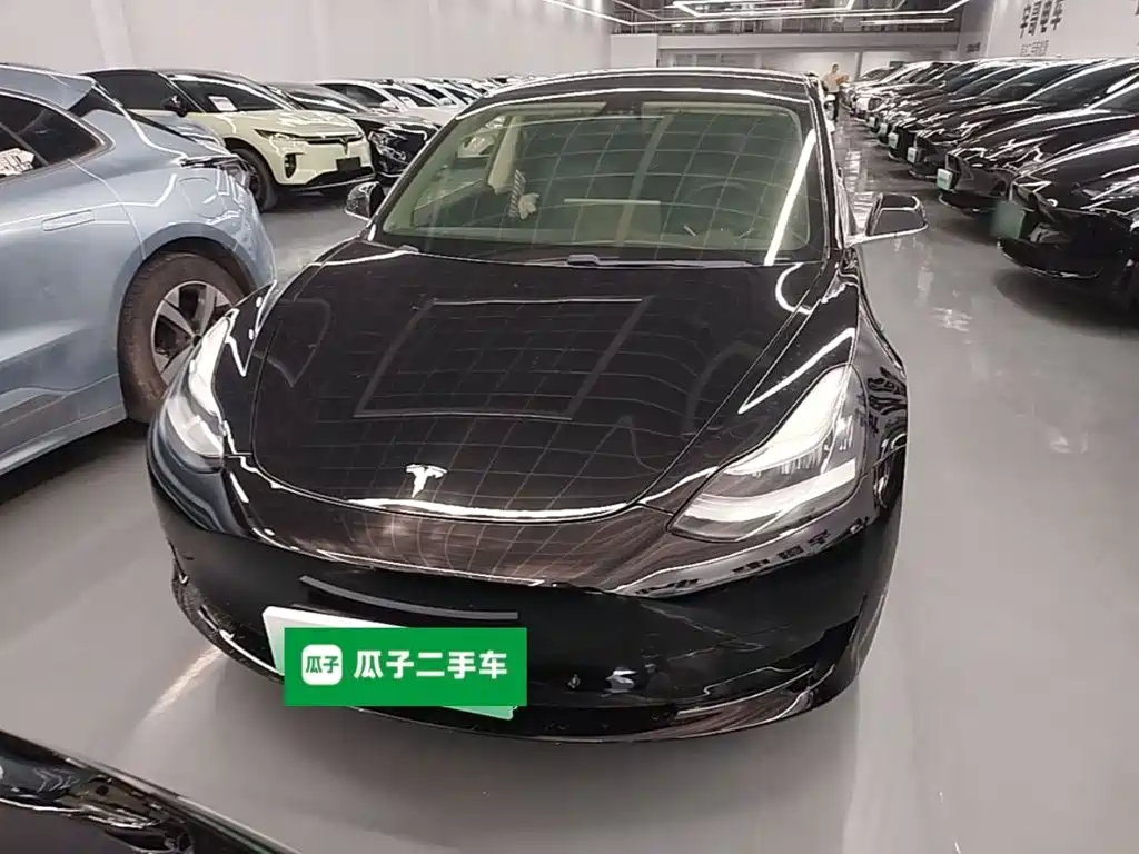 Tesla Model 3 — миниатюра 3