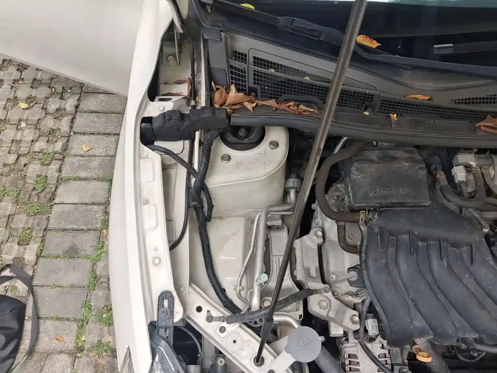 Nissan Sylphy — миниатюра 20