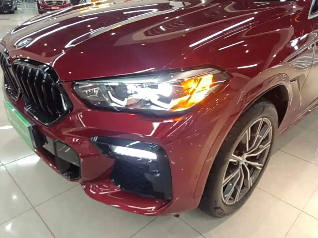 BMW X6 — миниатюра 24