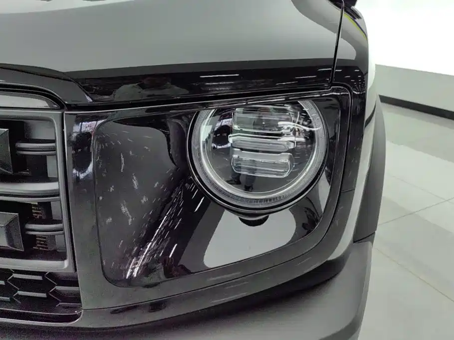 Haval Big Dog — миниатюра 5