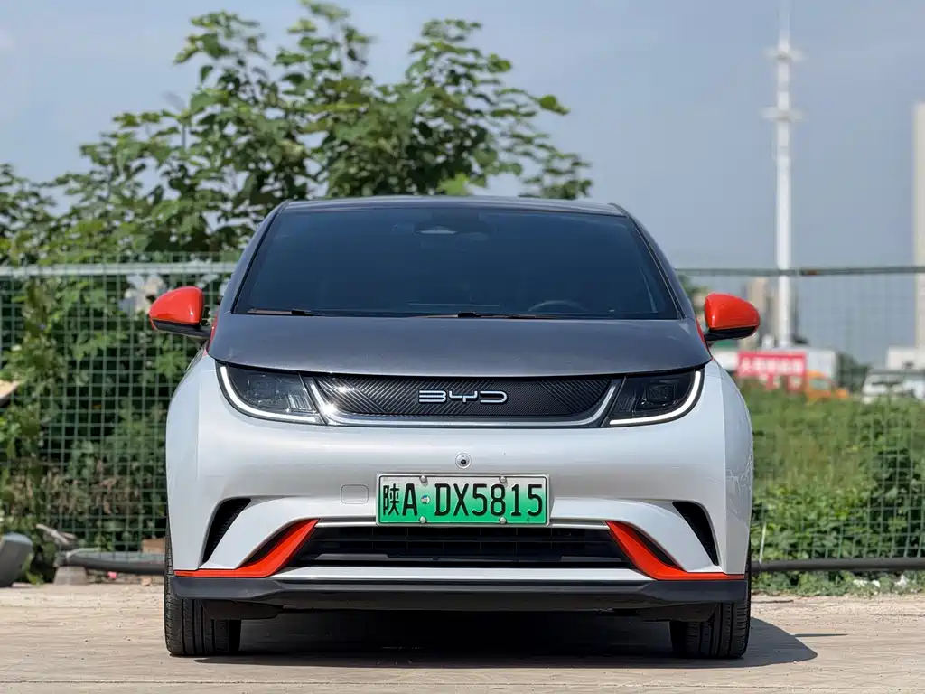 BYD Dolphin — миниатюра 2