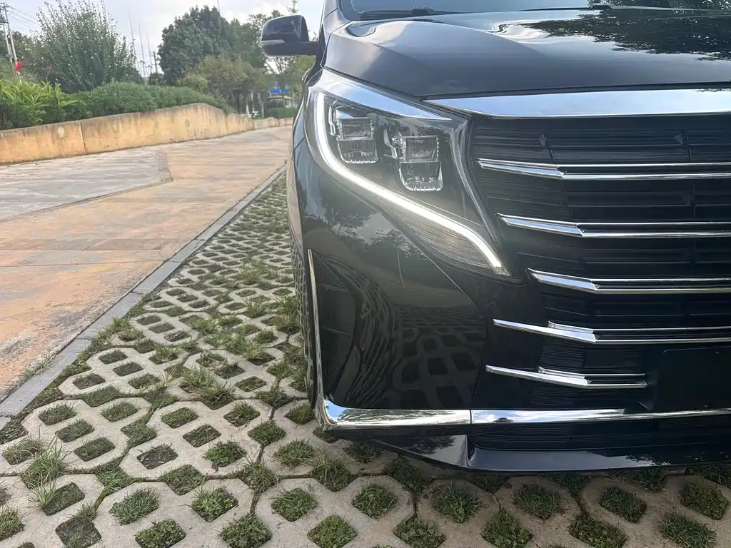 GAC Motor Trumpchi M8 — миниатюра 4