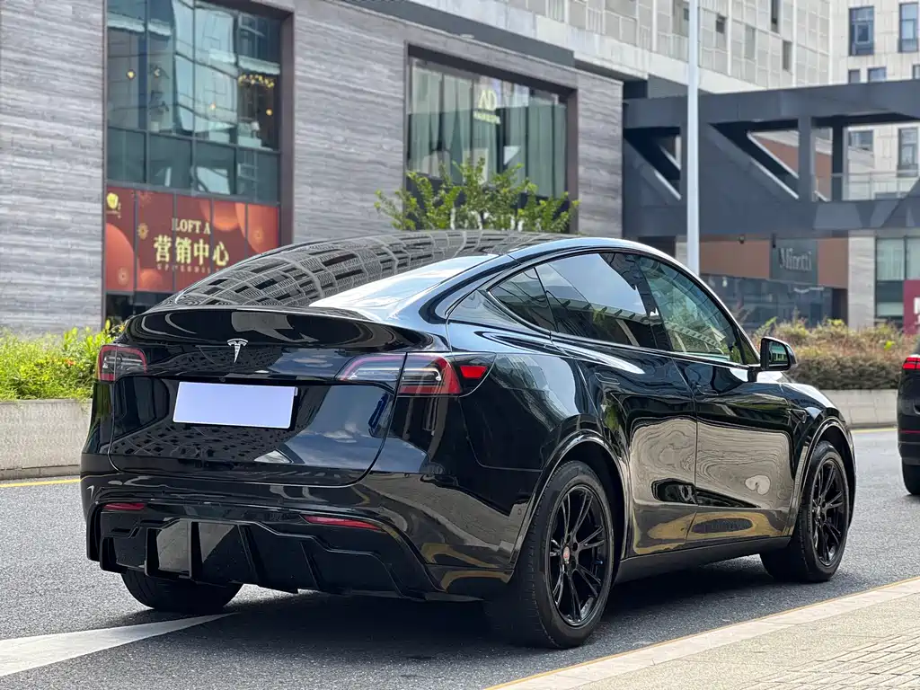Tesla Model Y — миниатюра 18