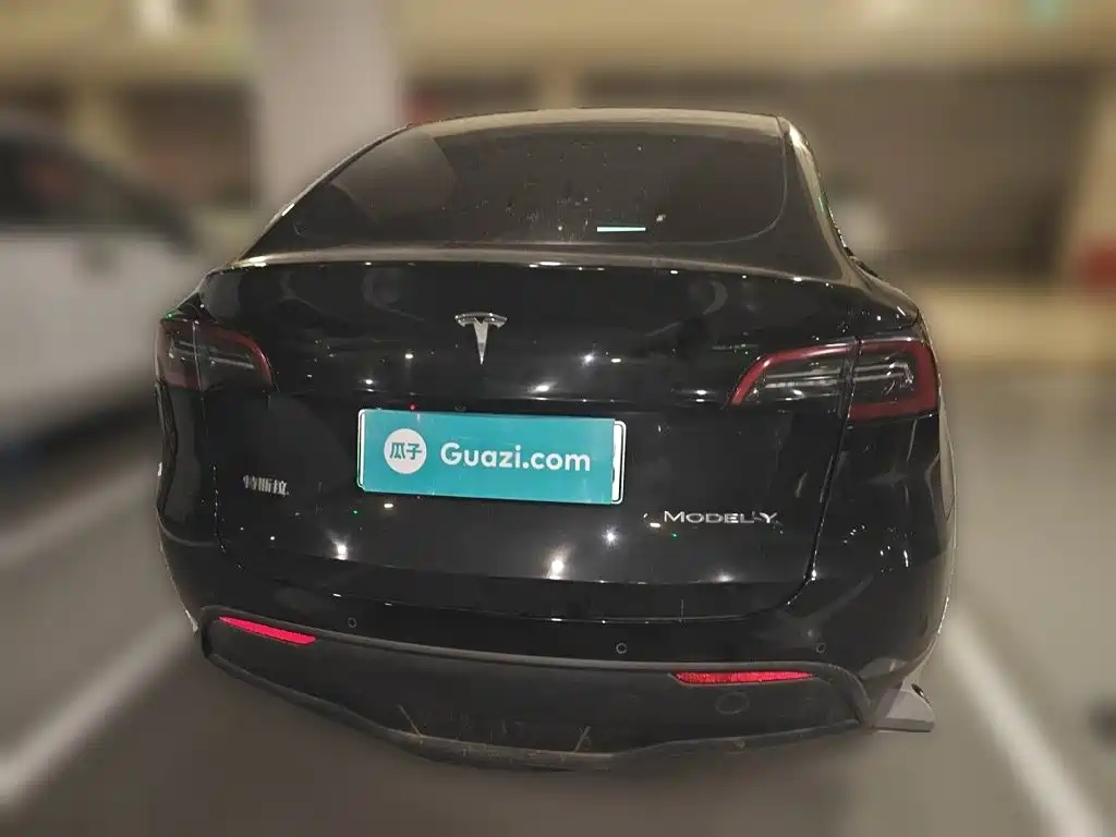 Tesla Model Y — миниатюра 3