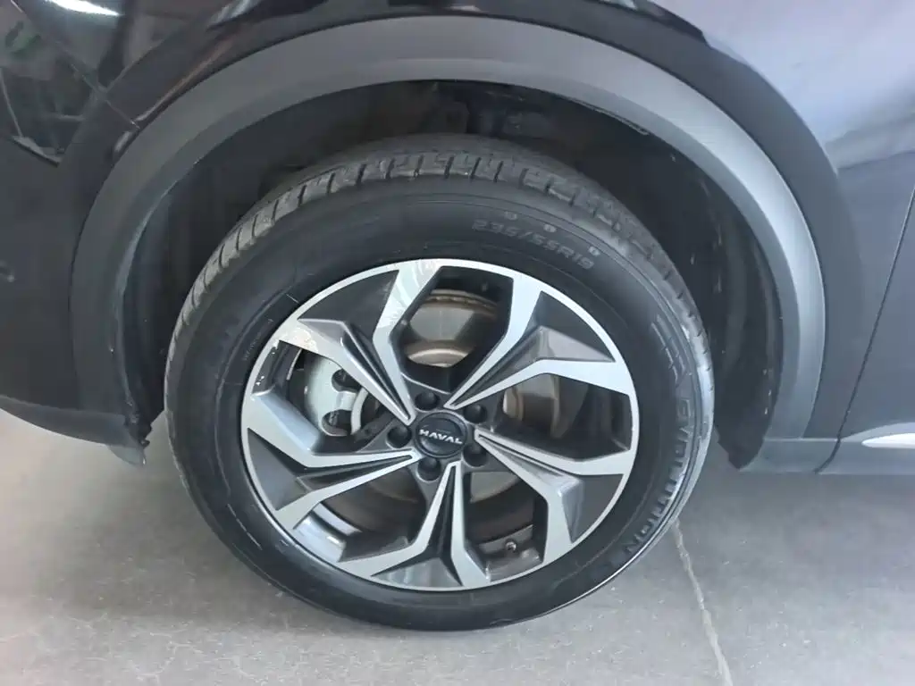Haval Xiaolong MAX — миниатюра 23