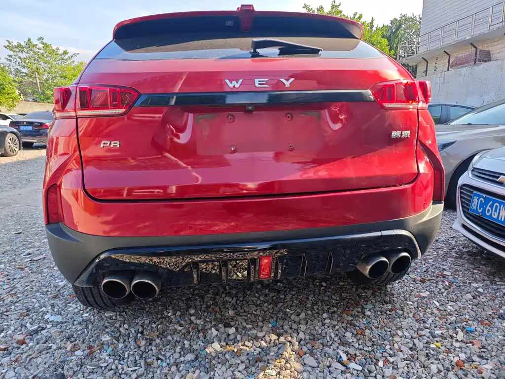 Wey Wey P8 — миниатюра 5