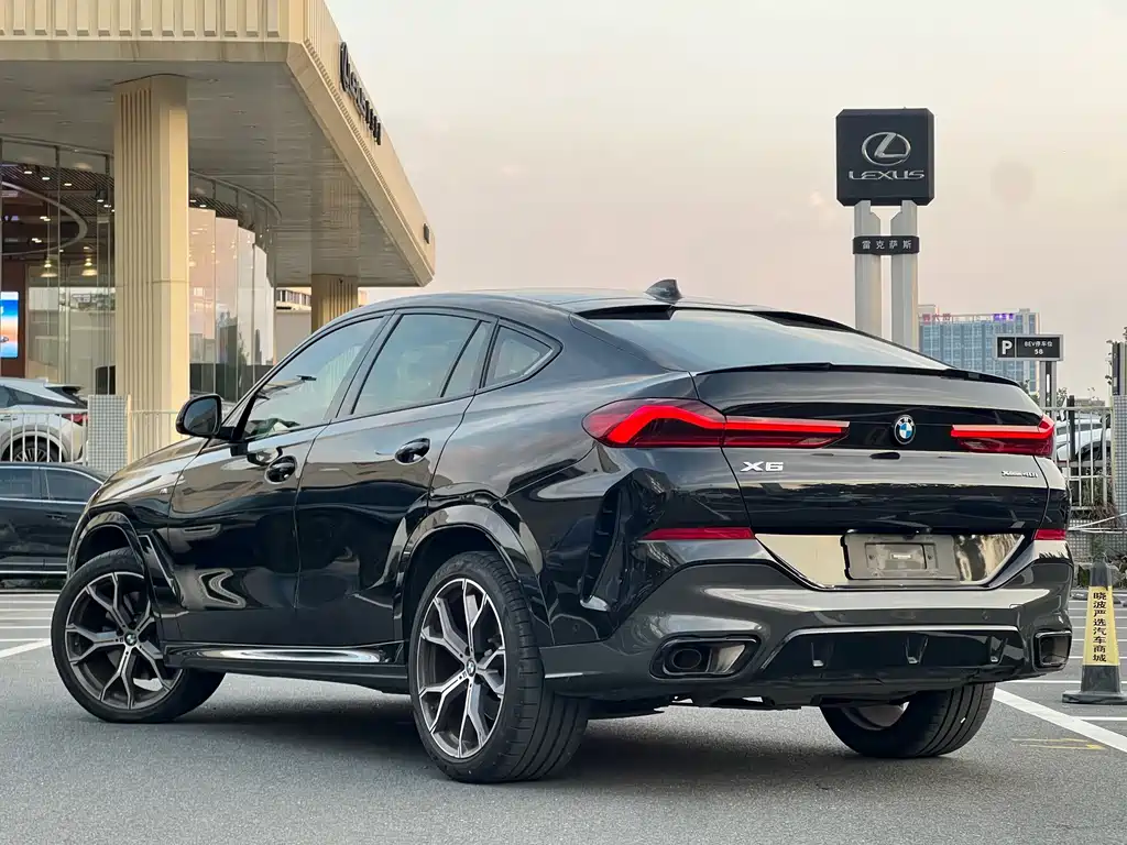 BMW X6 — миниатюра 5