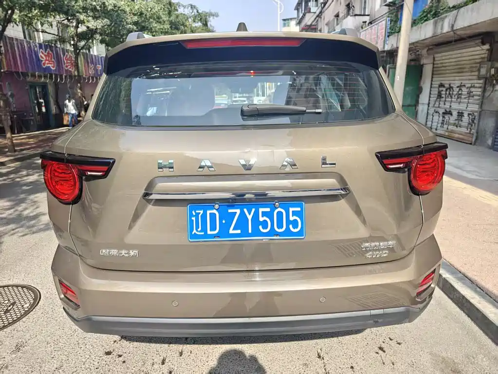  SECOND GENERATION BIG DOG