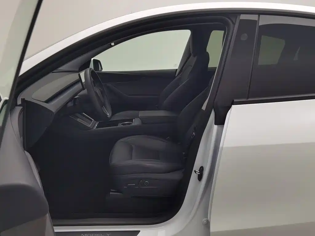 Tesla Model Y — миниатюра 10
