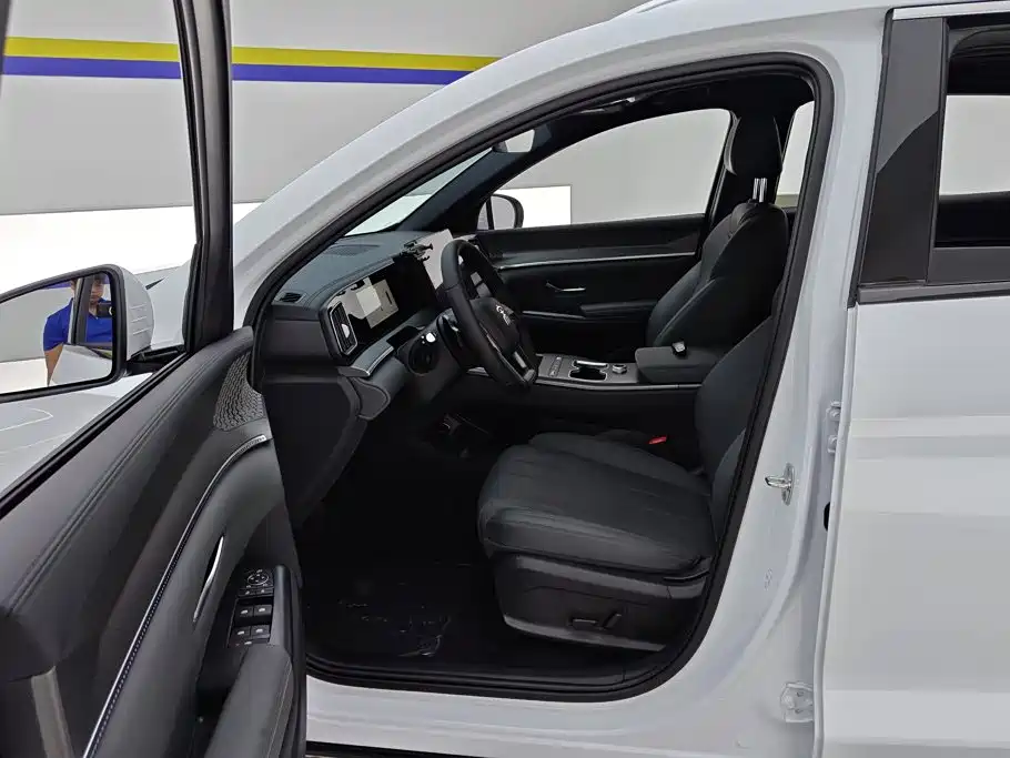 BYD Pro New Energy — миниатюра 9