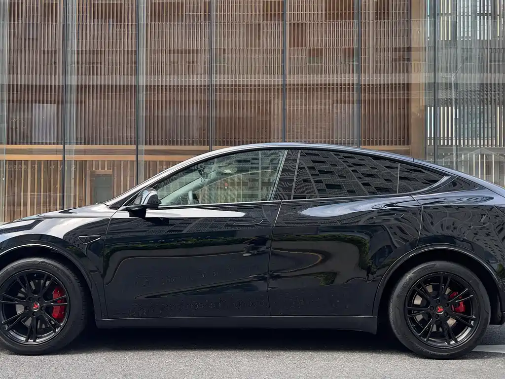 Tesla Model Y — миниатюра 19