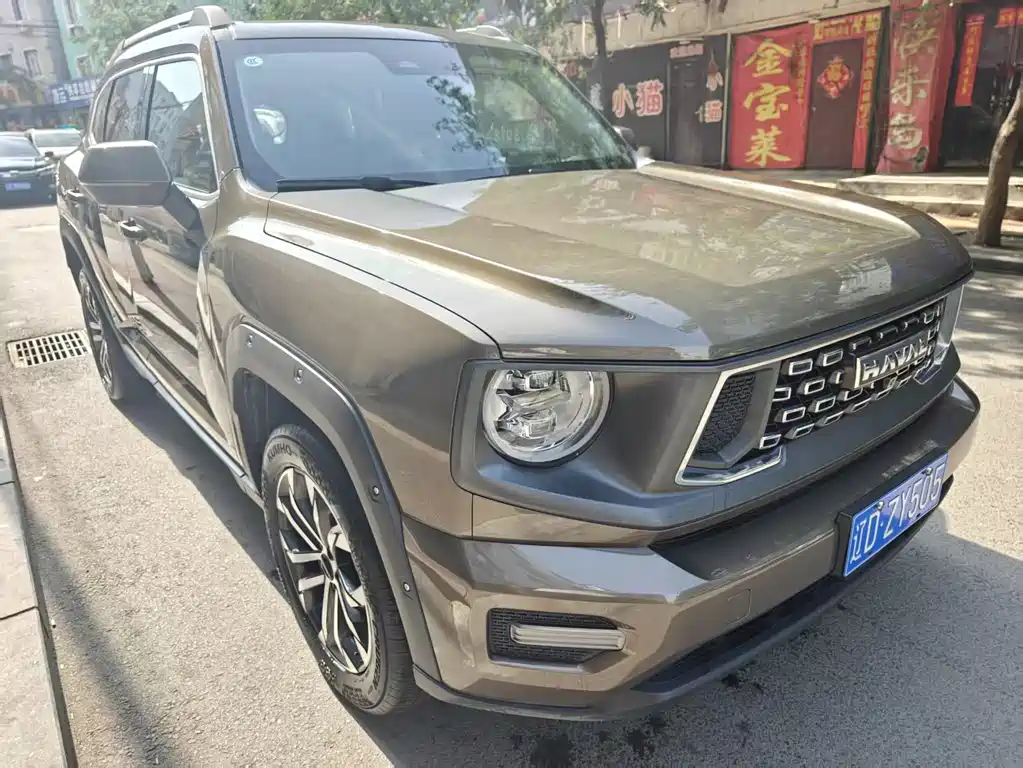  SECOND GENERATION BIG DOG