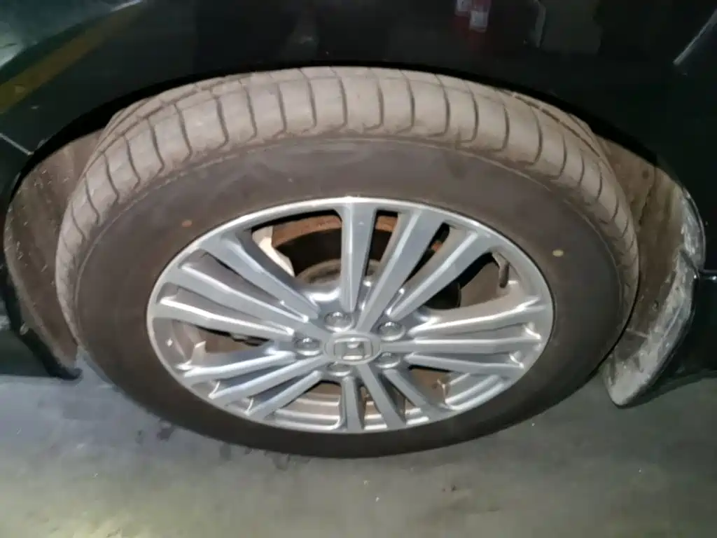 Honda Elysion — миниатюра 23