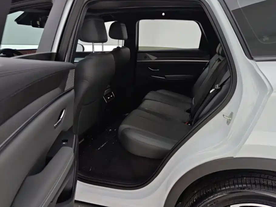 BYD Pro New Energy — миниатюра 11