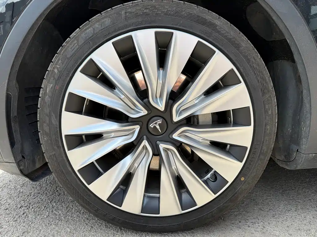 Tesla Model Y — миниатюра 15