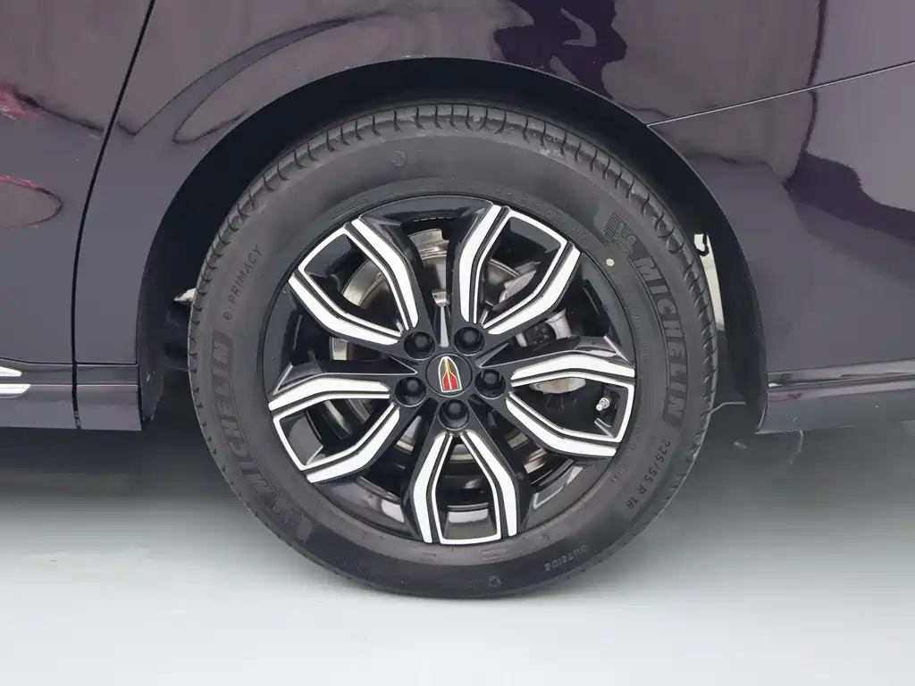 Hongqi Hongqi HQ9 — миниатюра 4