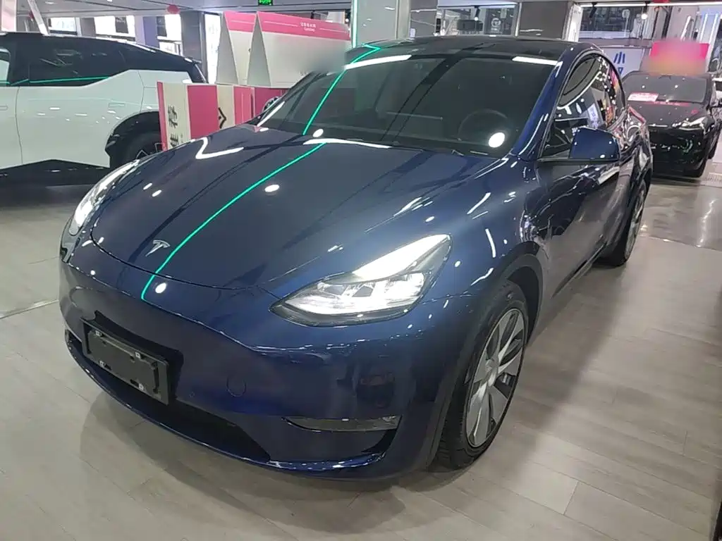 Tesla Model Y — миниатюра 2