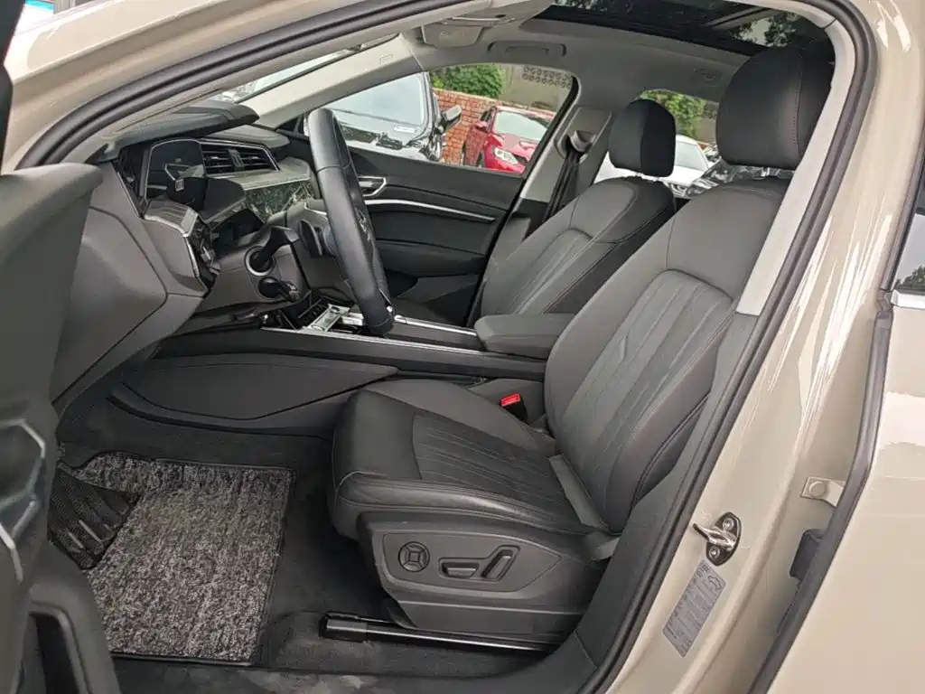 Audi e-tron (Import) — миниатюра 15