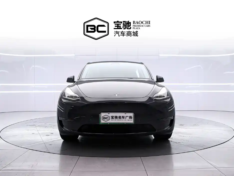 Tesla Model Y — миниатюра 2