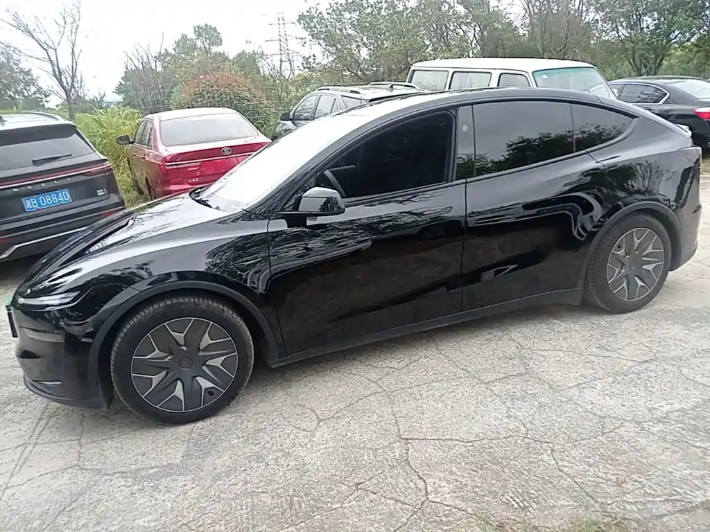 Tesla Model Y L — миниатюра 2