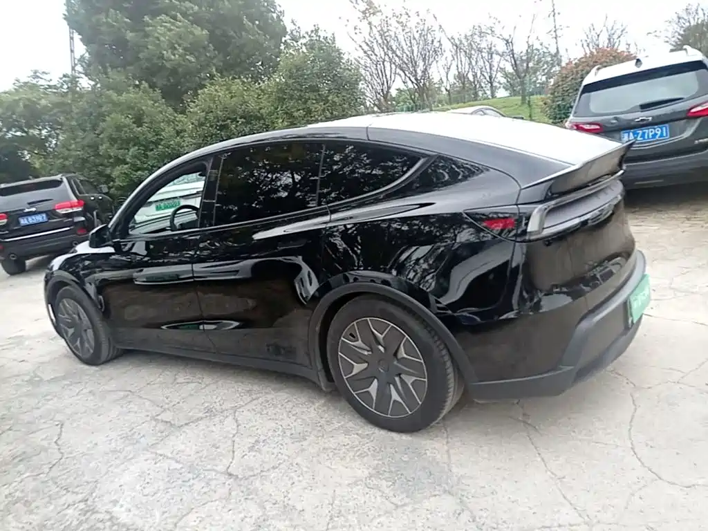 Tesla Model Y L — миниатюра 4